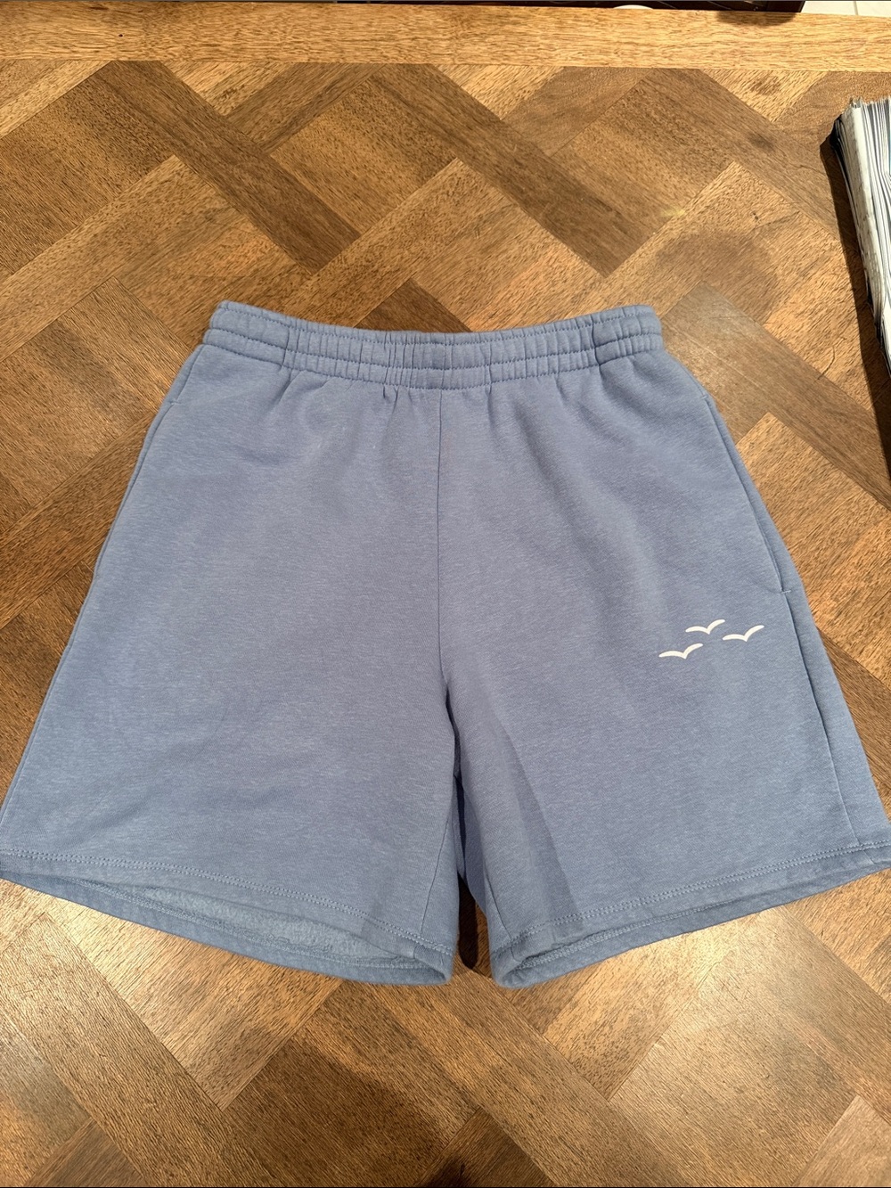 Hollister Light Blue Athletic Shorts with White Seagull Detail